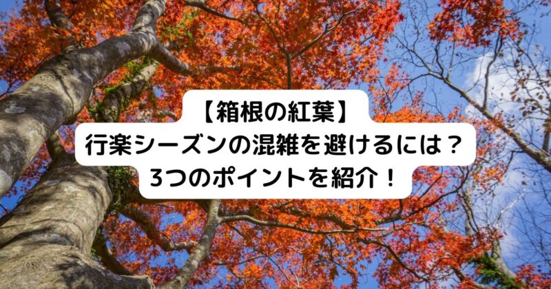 【箱根の紅葉】 行楽シーズンの混雑を避けるには？ 3つのポイントを紹介！