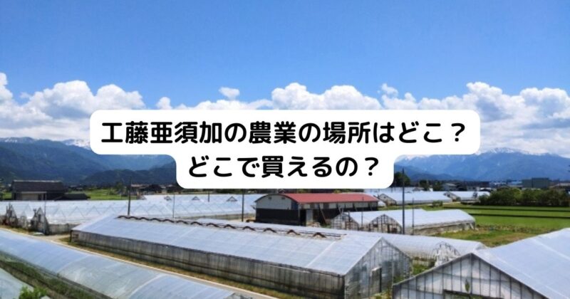 工藤亜須加の農業の場所はどこ？ どこで買えるの？
