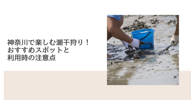 神奈川で楽しむ潮干狩り！おすすめスポットと利用時の注意点